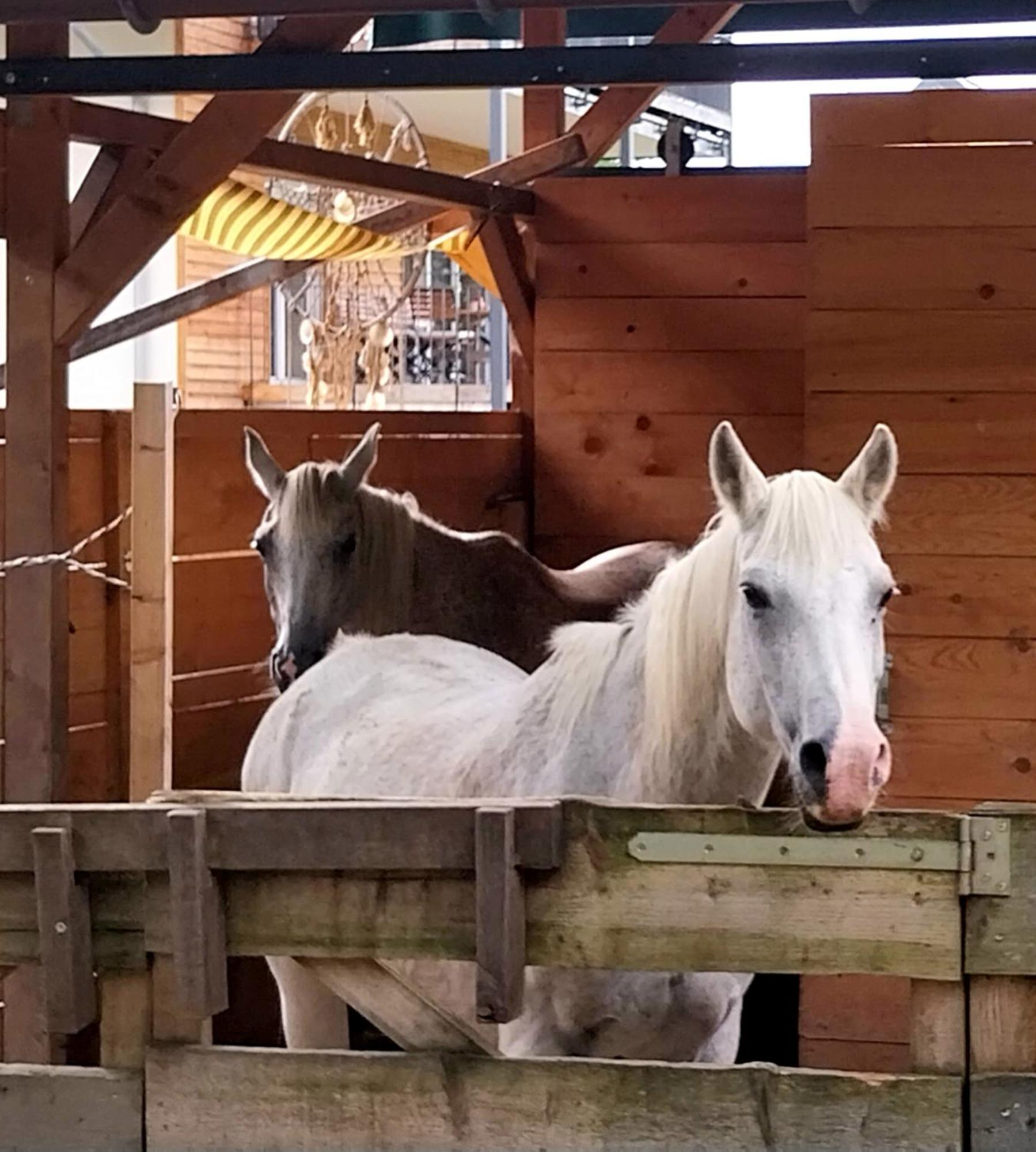 Kempten Mit Bauernhof-Flair Buitenkant foto