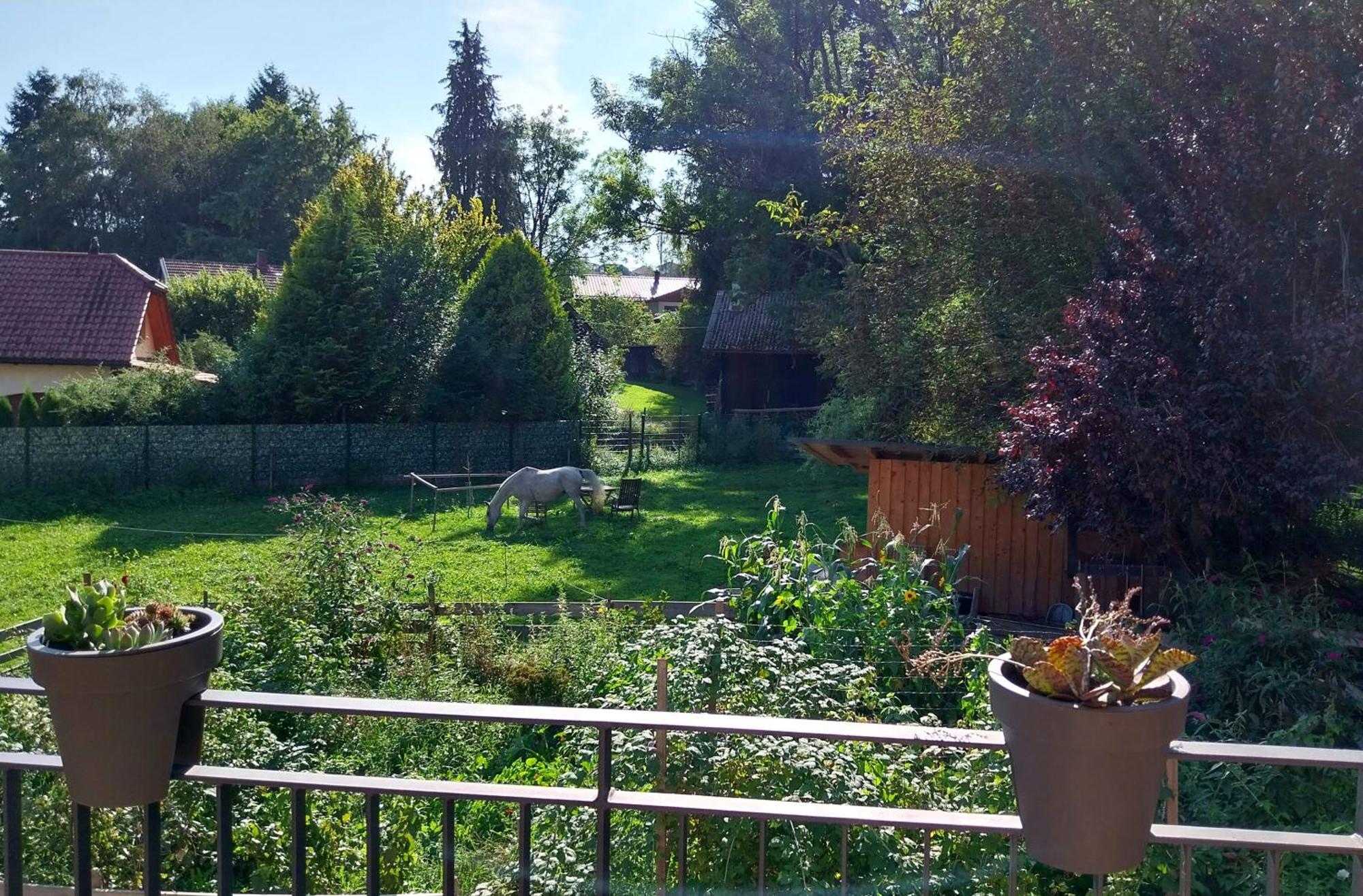 Kempten Mit Bauernhof-Flair Buitenkant foto